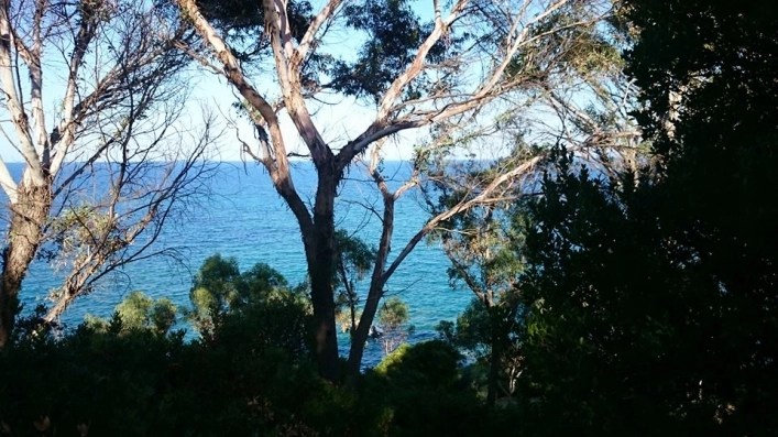 zobacz camping - zdjęcie 6