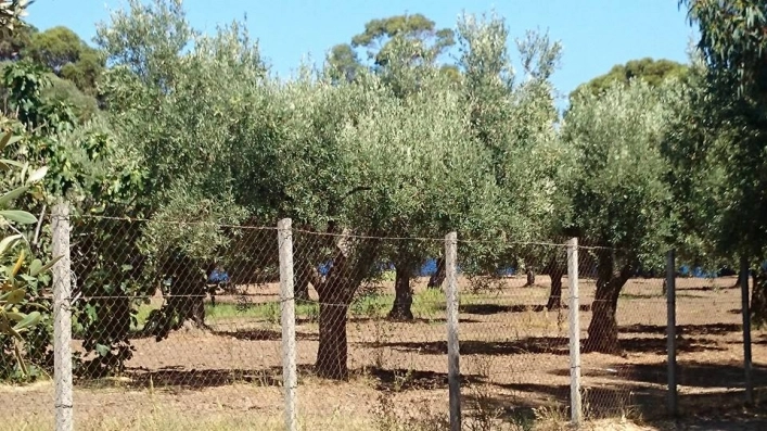 zobacz camping - zdjęcie 3