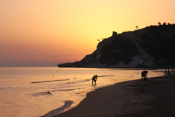 zobacz camping - zdjęcie 48