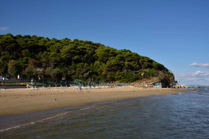 zobacz camping - zdjęcie 40