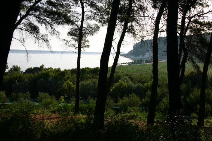 zobacz camping - zdjęcie 33