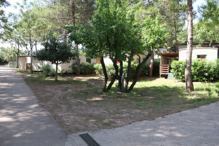 zobacz camping - zdjęcie 29