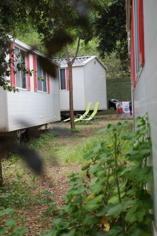 zobacz camping - zdjęcie 19