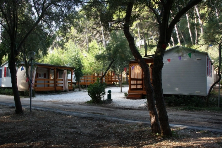 zobacz camping - zdjęcie 18