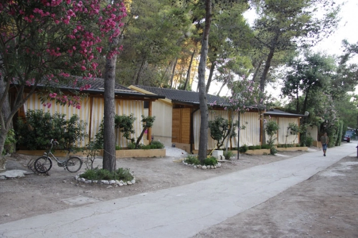 zobacz camping - zdjęcie 11