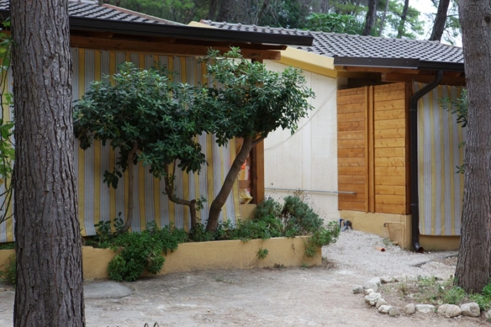 zobacz camping - zdjęcie 9