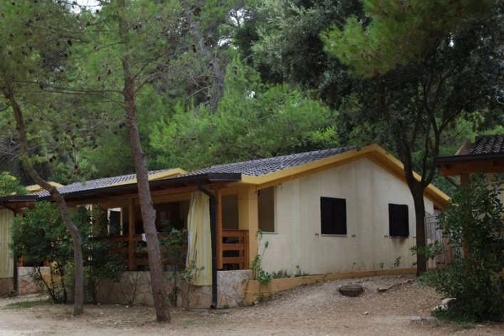 zobacz camping - zdjęcie 8