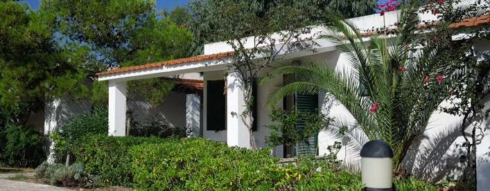 zobacz camping - zdjęcie 17