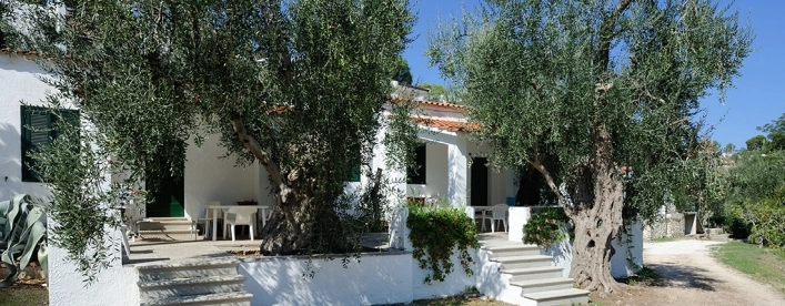 zobacz camping - zdjęcie 15