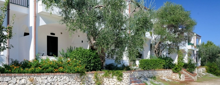 zobacz camping - zdjęcie 11