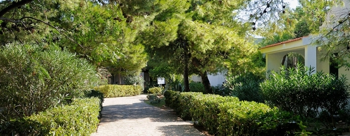 zobacz camping - zdjęcie 9