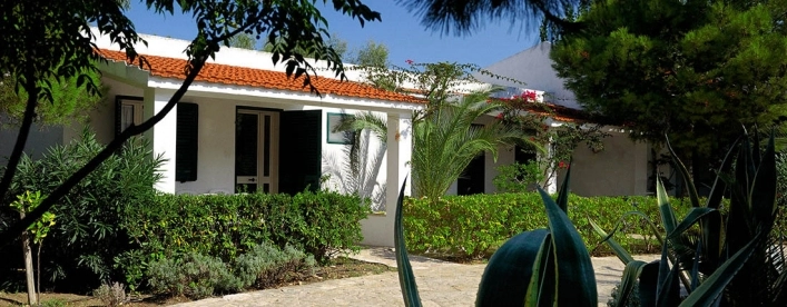 zobacz camping - zdjęcie 7