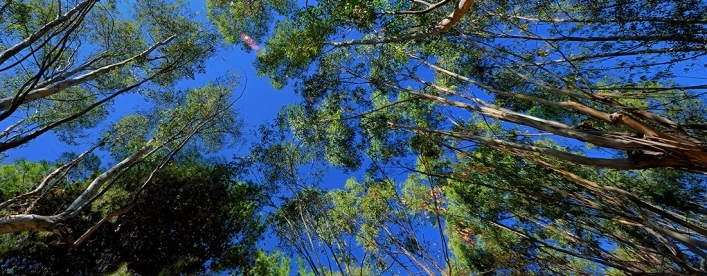 Campeggio Baia degli Aranci - zdjęcie 4