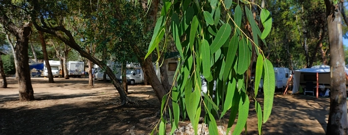 zobacz camping - zdjęcie 2