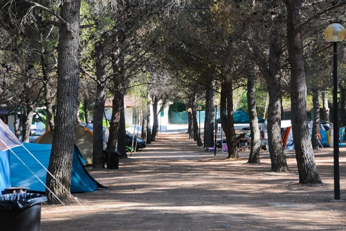 zobacz camping - zdjęcie 11