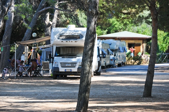 zobacz camping - zdjęcie 2