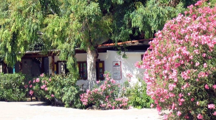 zobacz camping - zdjęcie 7