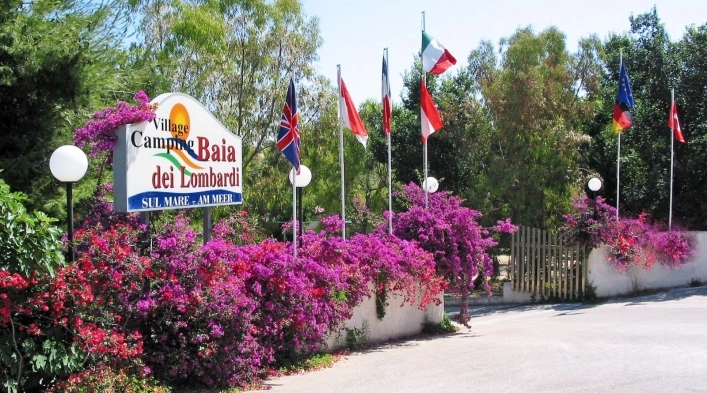 zobacz camping - zdjęcie 3