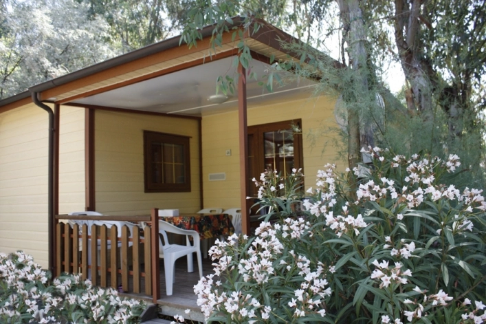 zobacz camping - zdjęcie 21