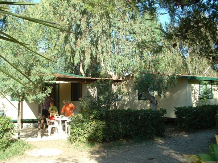 zobacz camping - zdjęcie 7