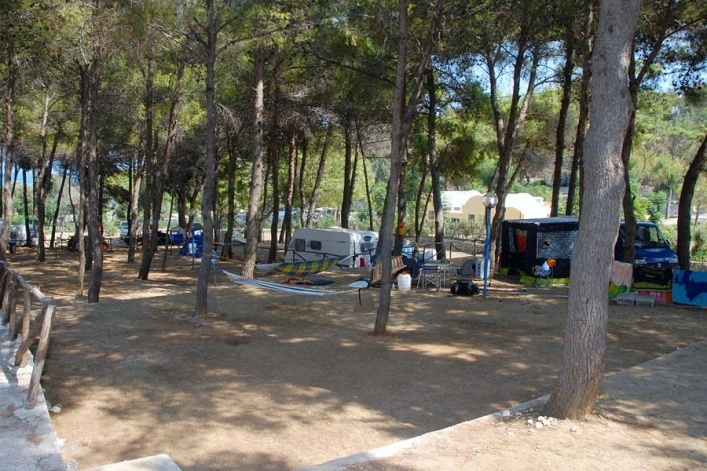 zobacz camping - zdjęcie 18