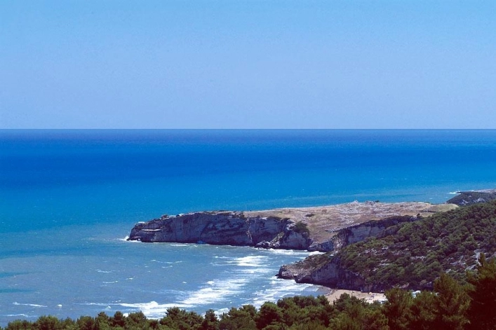 zobacz camping - zdjęcie 15