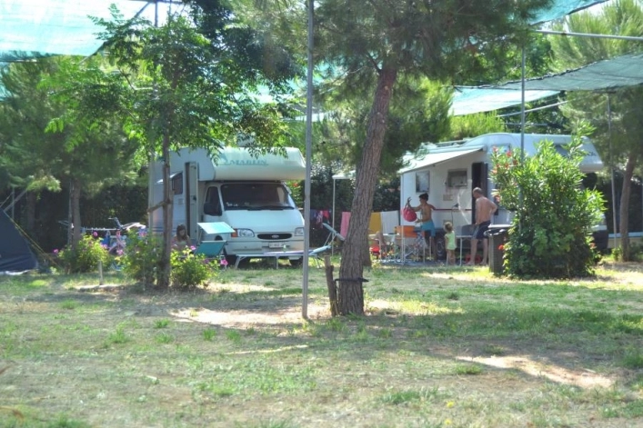 zobacz camping - zdjęcie 3