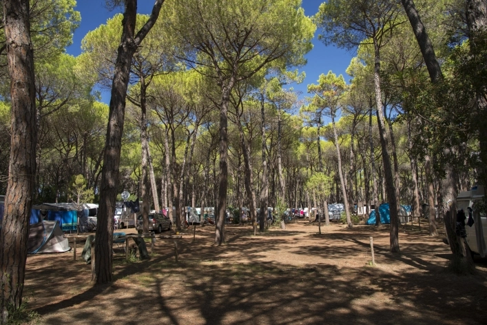 zobacz camping - zdjęcie 19