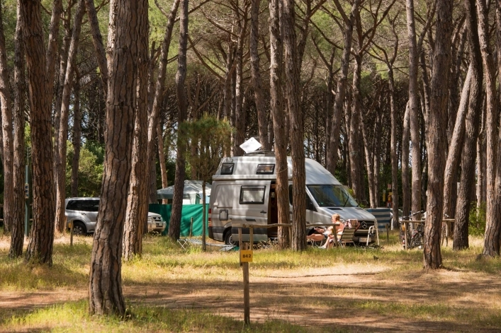 zobacz camping - zdjęcie 14