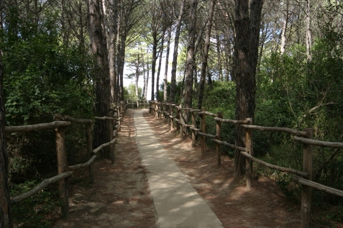 zobacz camping - zdjęcie 12