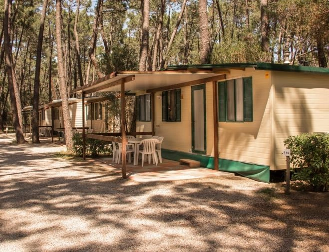 zobacz camping - zdjęcie 2