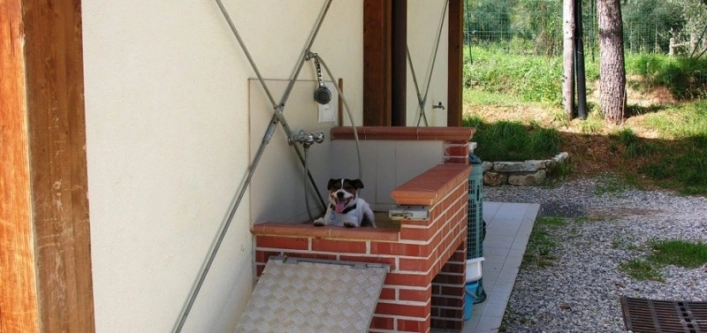 zobacz camping - zdjęcie 6