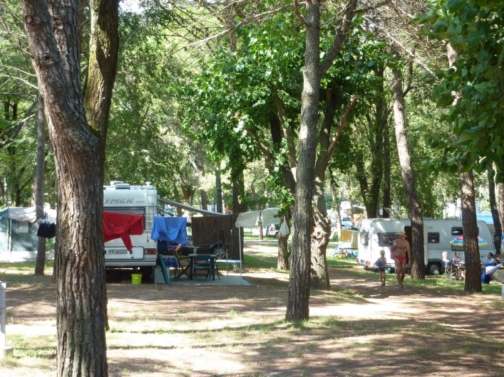 zobacz camping - zdjęcie 20