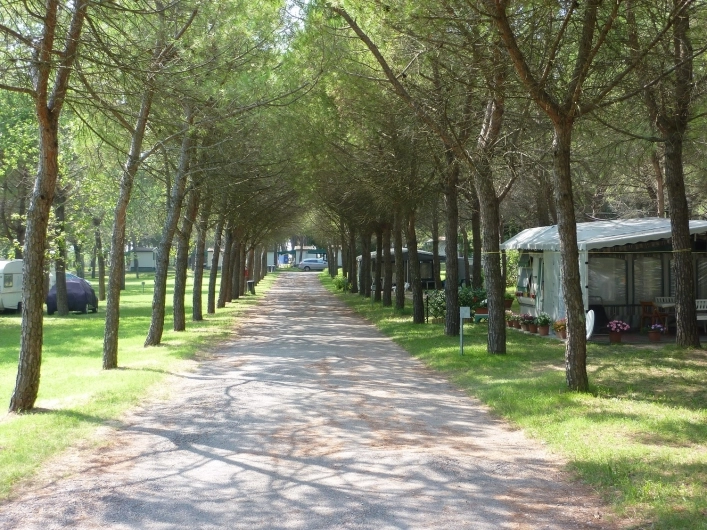 zobacz camping - zdjęcie 18