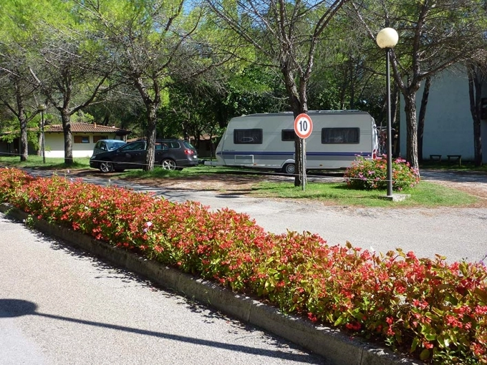 zobacz camping - zdjęcie 15