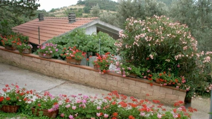 zobacz camping - zdjęcie 22