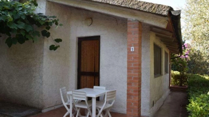 zobacz camping - zdjęcie 21