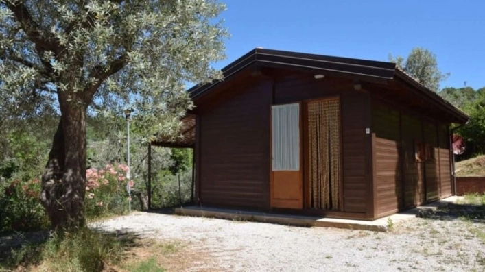 zobacz camping - zdjęcie 20