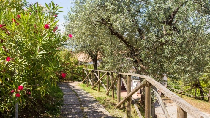 zobacz camping - zdjęcie 7