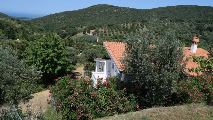 Campeggio Blucamp - zdjęcie 4