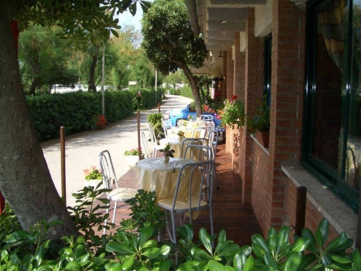 zobacz camping - zdjęcie 22