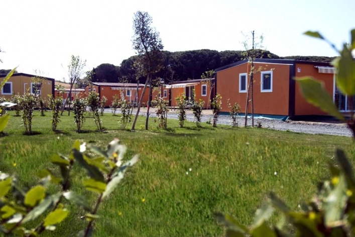 zobacz camping - zdjęcie 19