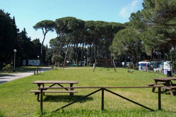 zobacz camping - zdjęcie 8