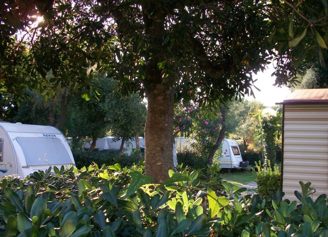 Campeggio Bocca di Cecina - zdjęcie 4