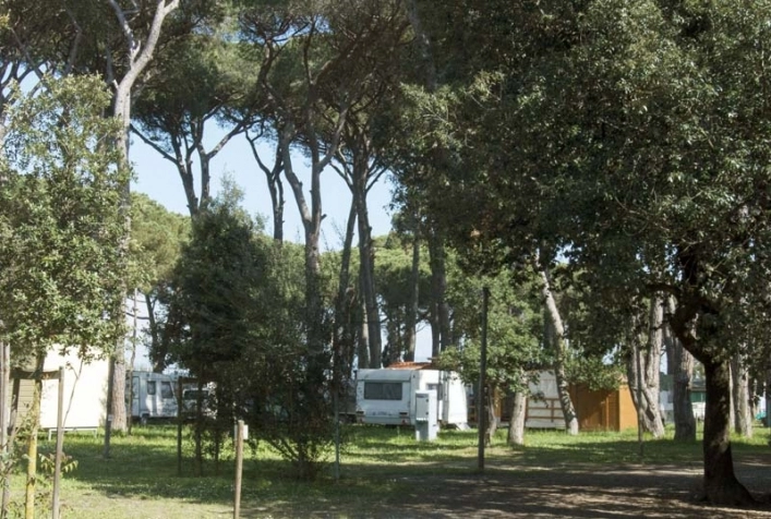 Campeggio Bocca di Cecina - zdjęcie 3