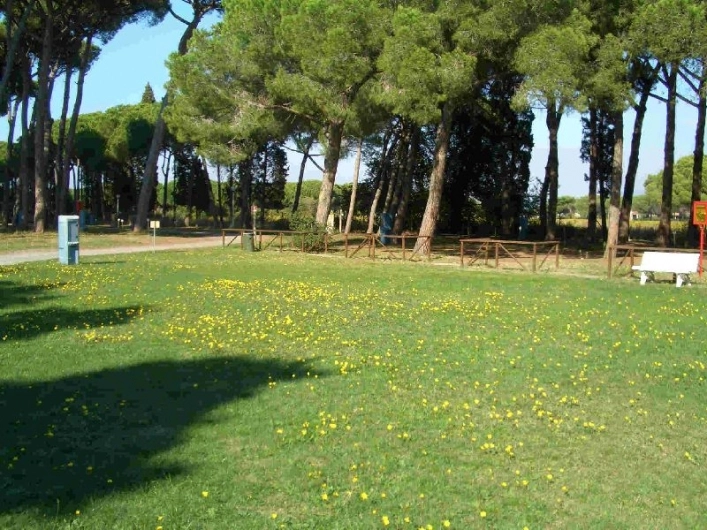 Campeggio Bocca di Cecina - zdjęcie 2