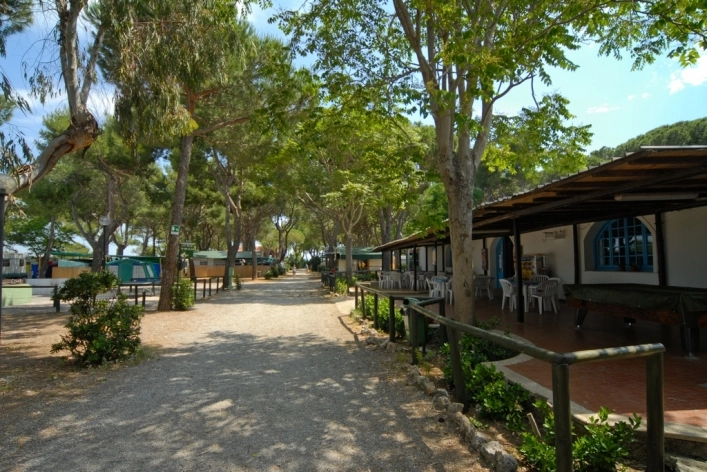 zobacz camping - zdjęcie 14