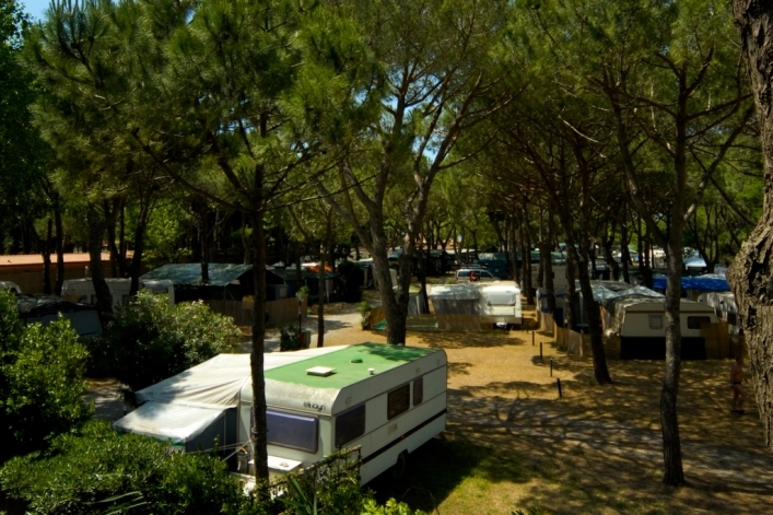 zobacz camping - zdjęcie 12