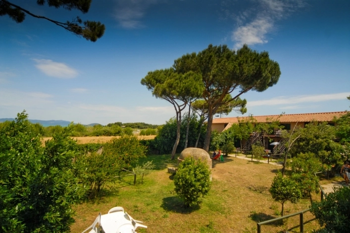 zobacz camping - zdjęcie 11