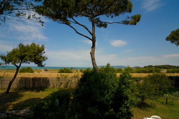 zobacz camping - zdjęcie 10